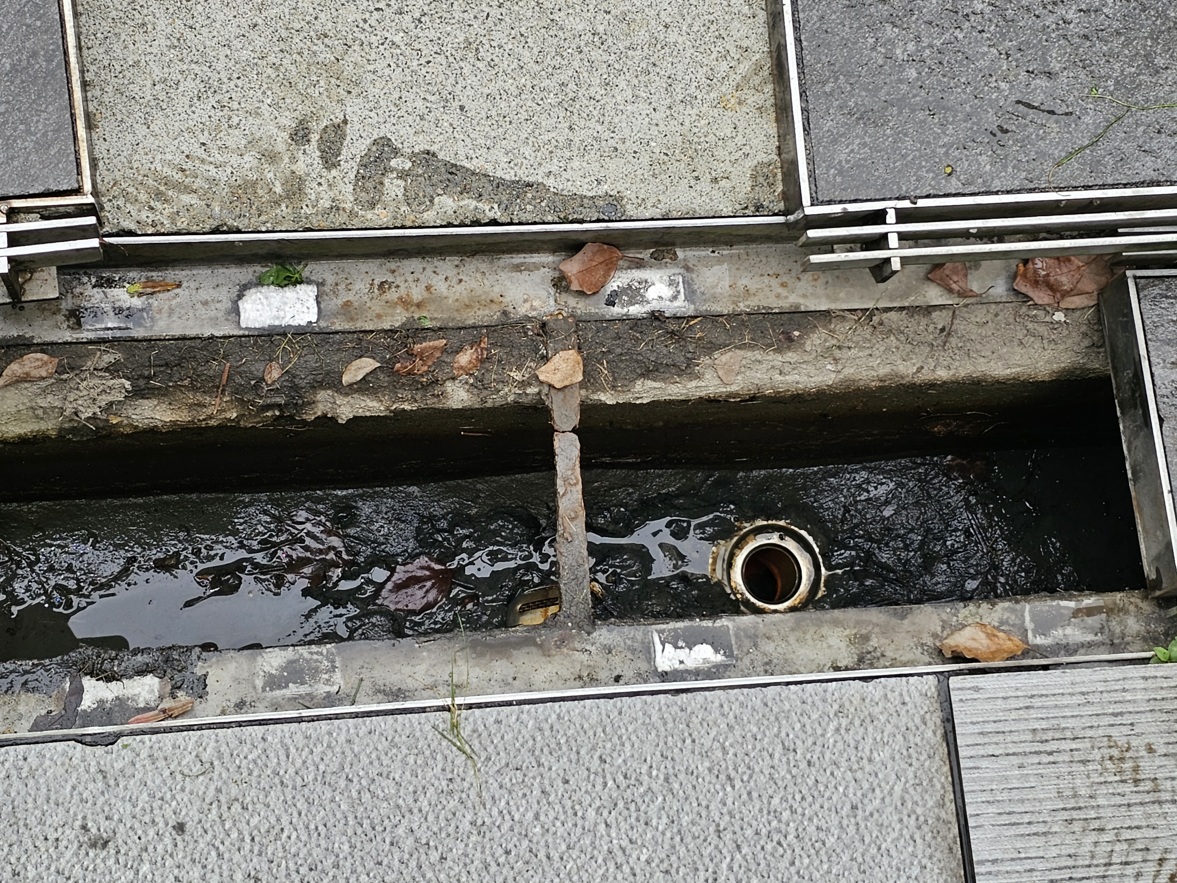 中和蝴水映社區公設車道截水溝堵塞通管作業